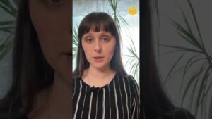 Дворець для всіх, дворець ні для кого