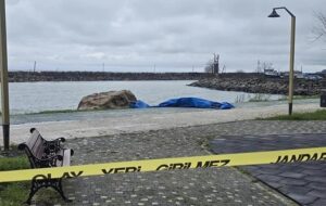 На узбережжі Туреччини виявили двохметровий дрон