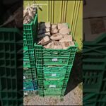 У Харкові ліквідовано “гаражну фабрику” цигарок на майже 2,5 млн грн