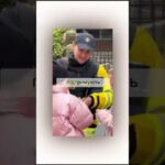 Голова ДСНС України Андрій Даник: «Психологи ДСНС завжди там, де людині найбільше потрібна опора».