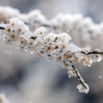 Дощ, мокрий сніг і заморозки: погода на понеділок
