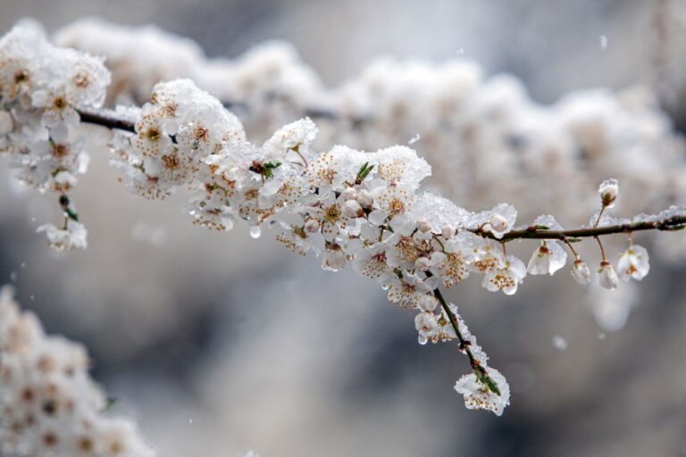 Дощ, мокрий сніг і заморозки: погода на понеділок