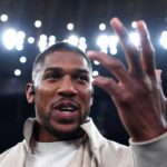 Джошуа прокоментував майбутній поєдинок