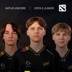 Інкубатор NAVI відмовляється від молодняка