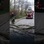 Через негоду в Україні загинули 2 людей