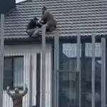 Під Луцьком військовий ТЦК скинув чоловіка з даху