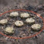 Росіяни дистанційно замінували школу у Херсоні