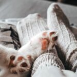 Шкарпетки замість снодійного: неочевидний секрет кращого сну