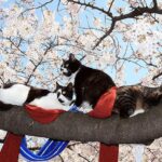 Синоптики повідомили, коли в Україну вернеться тепло