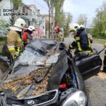 Смертельний вітер в Україні: прогноз і наслідки