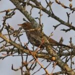 Свята 24 квітня 2026 року: іменини, традиції