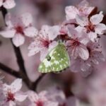 Свята 27 квітня 2026: іменини, заборони, факти