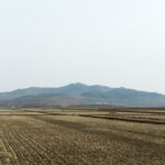 У КНДР оцінюють наслідки безпрецедентної посухи