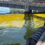 У порту Одещини в море потрапили тисячі тонн олії