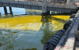 У порту Одещини в море потрапили тисячі тонн олії