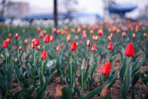 Українців попередили про різке похолодання