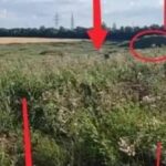 В Маріуполі знайшли приховане масове поховання