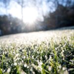 В Україну повертаються заморозки і мокрий сніг