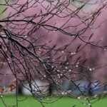 В Україну сьогодні прийдуть дощі та сильний вітер