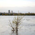 В Укренерго скасували відключення на понеділок