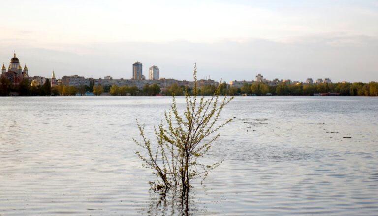 В Укренерго скасували відключення на понеділок