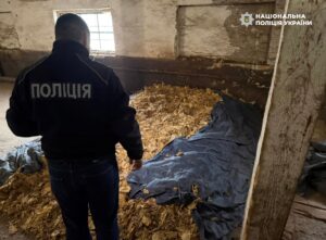 Викрито схему повного циклу виробництва нелегального тютюну на Закарпатті