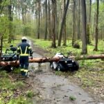 Загиблі та поранені: ДСНС показала наслідки стихії