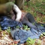 Киянина знайшли мертвим у лісі біля кордону з Румунією