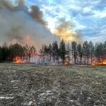 Лісові пожежі вирують у чотирьох областях – ДСНС
