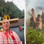 McDonald’s із видом як в Аватарі: відео з китайського парку стало вірусним