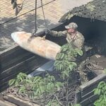 На Білгородщині російська бомба вбила росіянина –  соцмережі