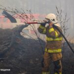 На Чернігівщині локалізували лісову пожежу