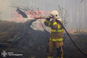 На Чернігівщині локалізували лісову пожежу