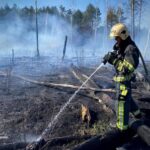 На Чернігівщині палають тисячі гектарів лісу