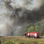 На Київщині сталася масштабна лісова пожежа