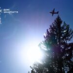 На Закарпатті ліквідували масштабну пожежу