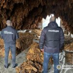Організаторам тютюнового підпілля в Одесі оголосили підозри