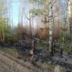 Пожежу площею 5800 га локалізували на Чернігівщині