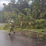 У Польщі торнадо пошкодило майже 20 будівель