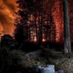 У Зоні відчуження триває ліквідація лісової пожежі