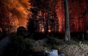 У Зоні відчуження триває ліквідація лісової пожежі