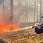 В ДСНС розповіли про наслідки масштабних пожеж