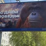 В РФ до Дня перемоги повісили банер з мавпою