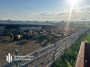 Викрито схему привласнення коштів в Держпродспоживслужбі