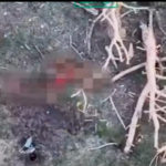 Військові показали знищення окупантів на Сумщині
