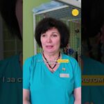 Дитяче реабілітаційне відділення у Краматорську працює попри близькість фронту