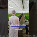🗓️ 15.06.2026🌙 Вечірні новини🔴 1573-ий день війни