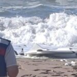 Безпілотник із боєприпасами винесло на пляж Туреччини