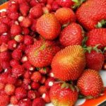 Гороскоп для всіх знаків Зодіаку на 23 червня 2026 року