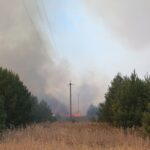 Київ і область можуть накрити димом від пожеж